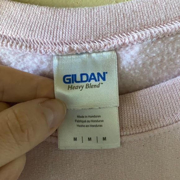 Coachella Valley Music Festival Dinosaur Pizza Crewneck M 2017 - Picture 5 of 8